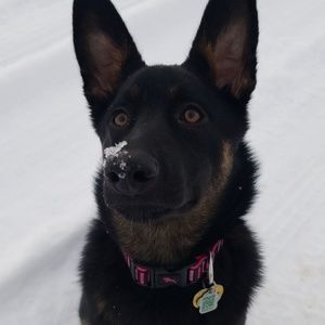 Meet your Posher, Kaytlyn